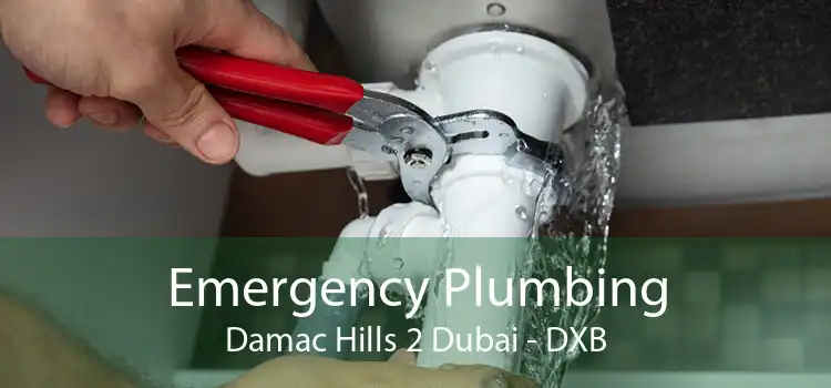 Emergency Plumbing Damac Hills 2 Dubai - DXB