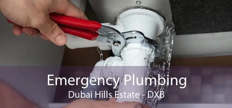 Emergency Plumbing Dubai Hills Estate - DXB