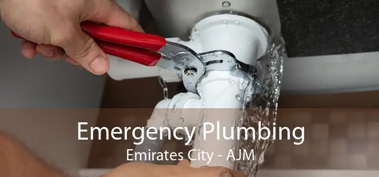 Emergency Plumbing Emirates City - AJM