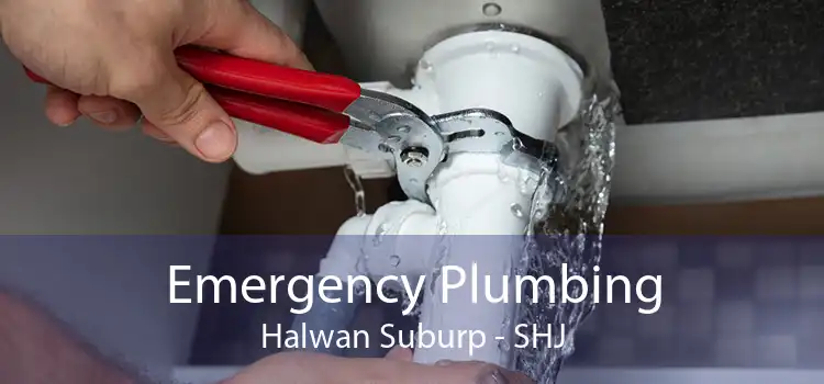 Emergency Plumbing Halwan Suburp - SHJ