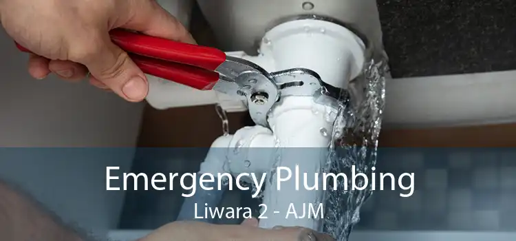 Emergency Plumbing Liwara 2 - AJM