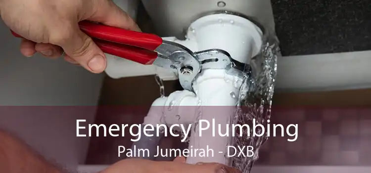 Emergency Plumbing Palm Jumeirah - DXB