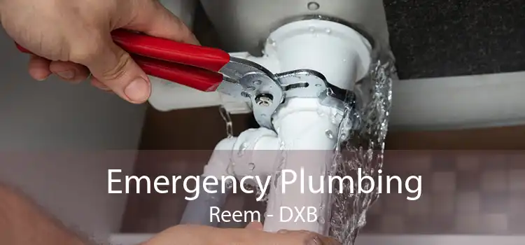 Emergency Plumbing Reem - DXB