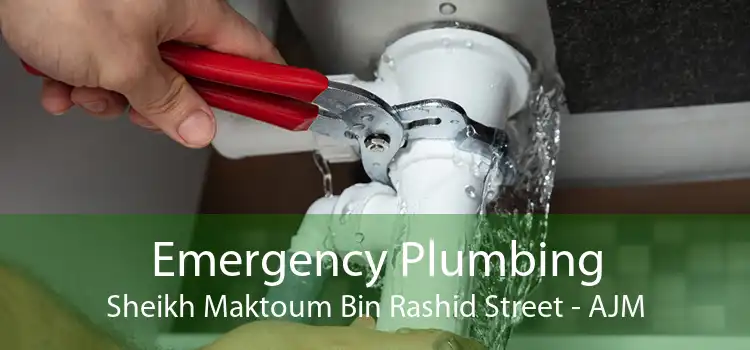 Emergency Plumbing Sheikh Maktoum Bin Rashid Street - AJM