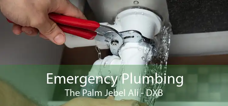 Emergency Plumbing The Palm Jebel Ali - DXB