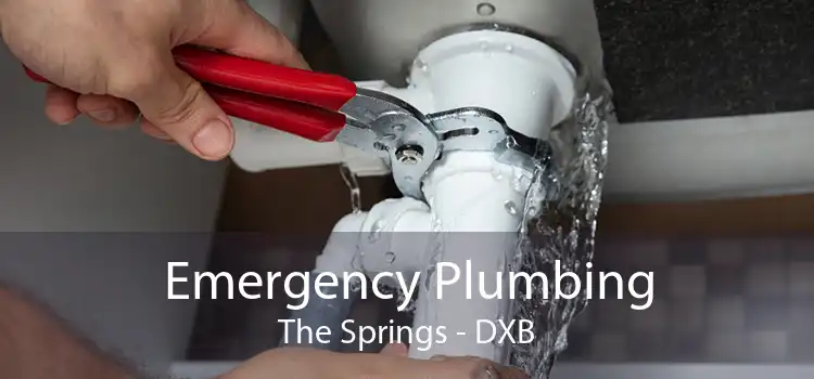 Emergency Plumbing The Springs - DXB