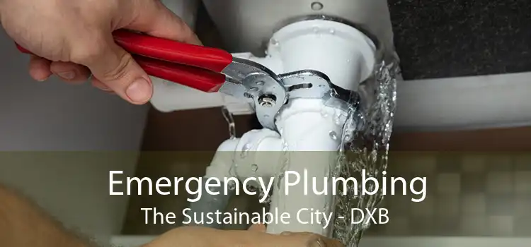 Emergency Plumbing The Sustainable City - DXB