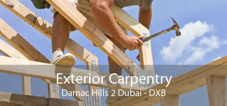 Exterior Carpentry Damac Hills 2 Dubai - DXB