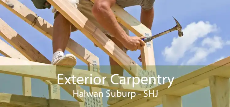 Exterior Carpentry Halwan Suburp - SHJ