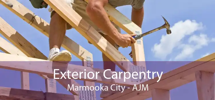 Exterior Carpentry Marmooka City - AJM