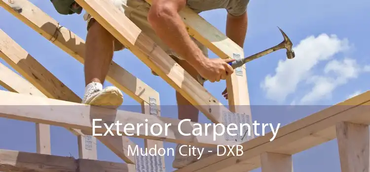 Exterior Carpentry Mudon City - DXB