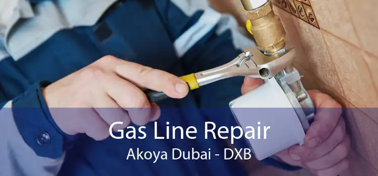 Gas Line Repair Akoya Dubai - DXB