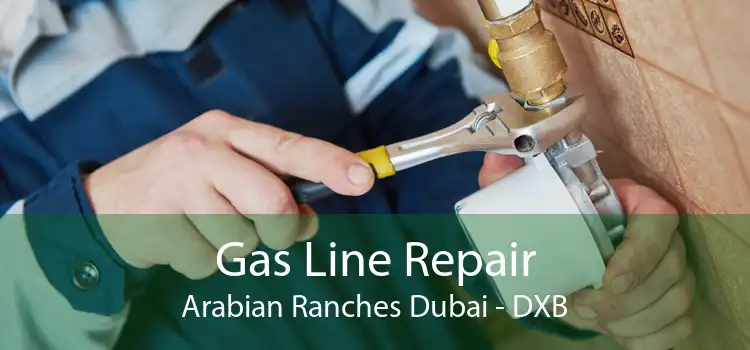 Gas Line Repair Arabian Ranches Dubai - DXB