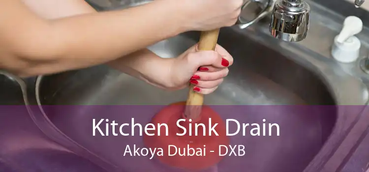 Kitchen Sink Drain Akoya Dubai - DXB