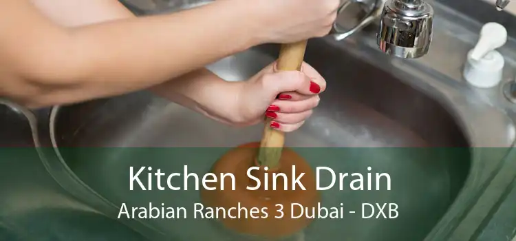 Kitchen Sink Drain Arabian Ranches 3 Dubai - DXB