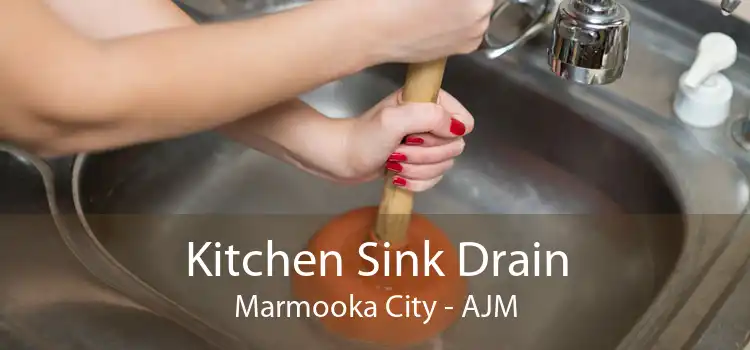 Kitchen Sink Drain Marmooka City - AJM