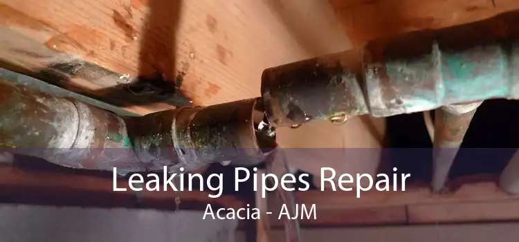 Leaking Pipes Repair Acacia - AJM