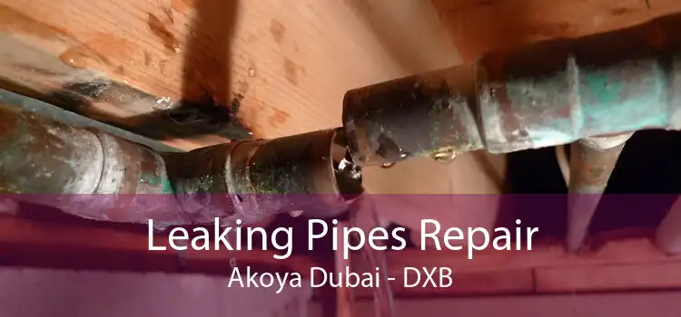 Leaking Pipes Repair Akoya Dubai - DXB