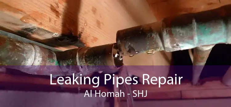 Leaking Pipes Repair Al Homah - SHJ