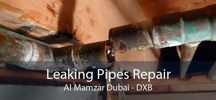 Leaking Pipes Repair Al Mamzar Dubai - DXB