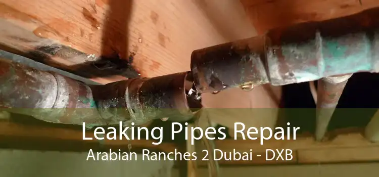 Leaking Pipes Repair Arabian Ranches 2 Dubai - DXB