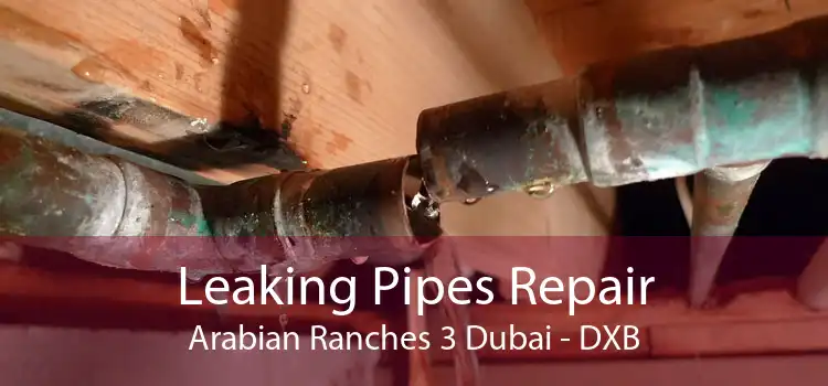 Leaking Pipes Repair Arabian Ranches 3 Dubai - DXB