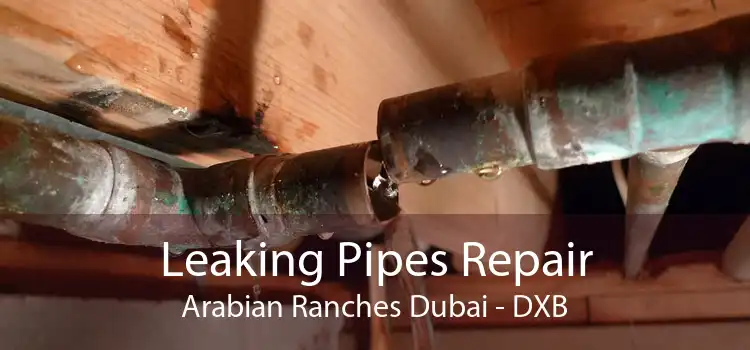 Leaking Pipes Repair Arabian Ranches Dubai - DXB