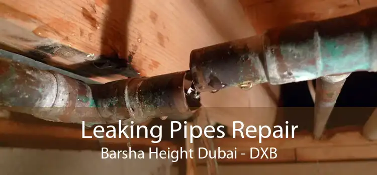 Leaking Pipes Repair Barsha Height Dubai - DXB