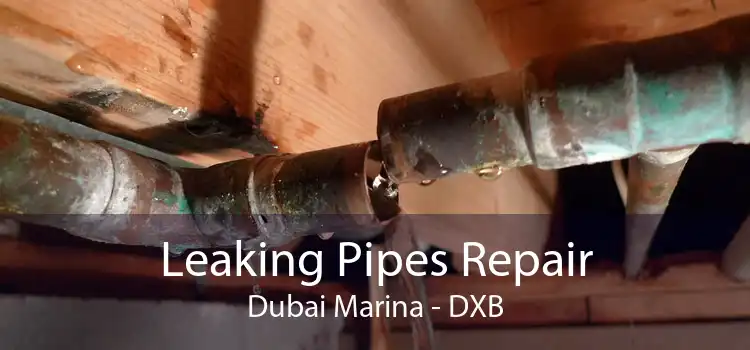 Leaking Pipes Repair Dubai Marina - DXB