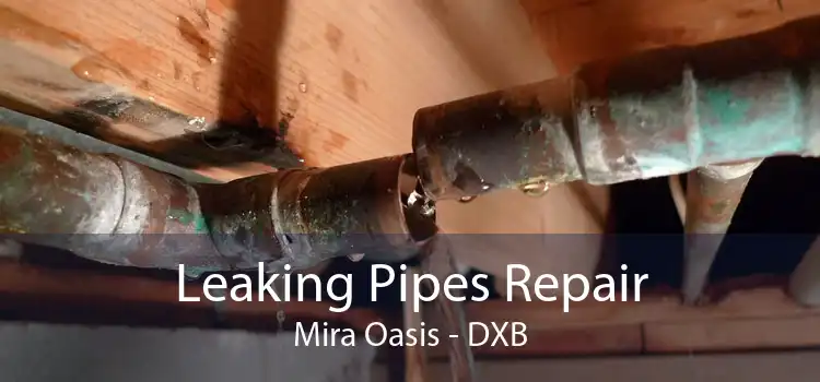 Leaking Pipes Repair Mira Oasis - DXB