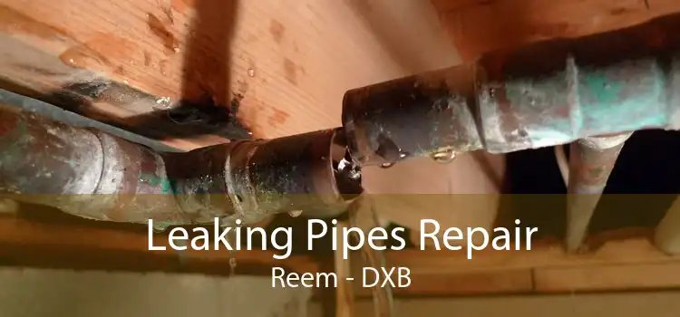 Leaking Pipes Repair Reem - DXB