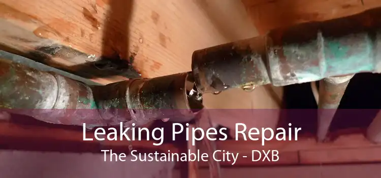 Leaking Pipes Repair The Sustainable City - DXB