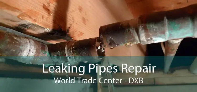 Leaking Pipes Repair World Trade Center - DXB