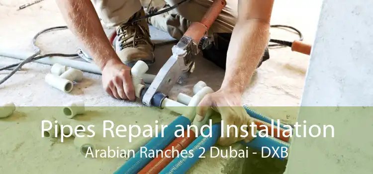 Pipes Repair and Installation Arabian Ranches 2 Dubai - DXB