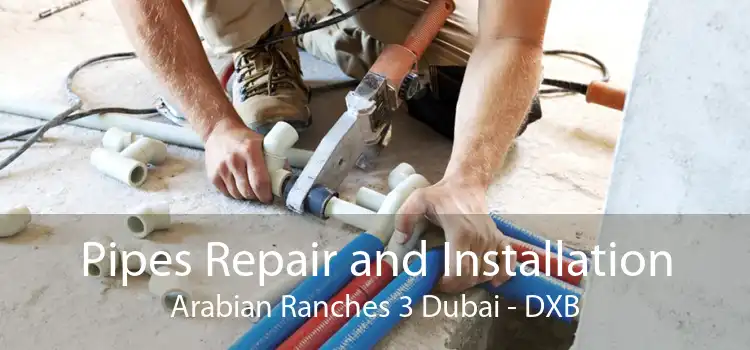 Pipes Repair and Installation Arabian Ranches 3 Dubai - DXB