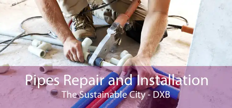 Pipes Repair and Installation The Sustainable City - DXB