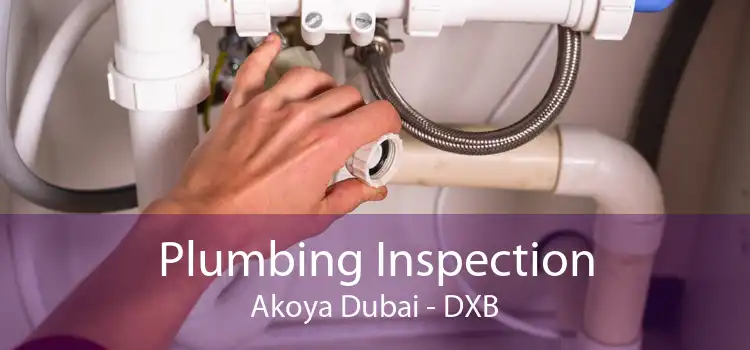 Plumbing Inspection Akoya Dubai - DXB