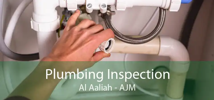 Plumbing Inspection Al Aaliah - AJM