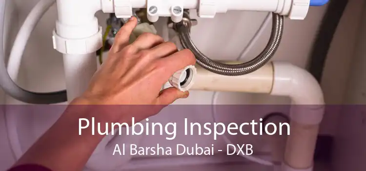 Plumbing Inspection Al Barsha Dubai - DXB