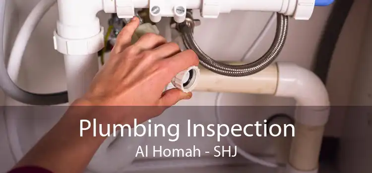 Plumbing Inspection Al Homah - SHJ