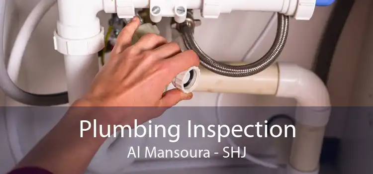 Plumbing Inspection Al Mansoura - SHJ