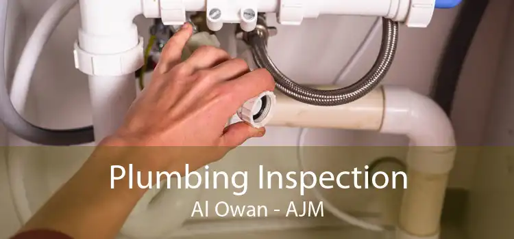 Plumbing Inspection Al Owan - AJM