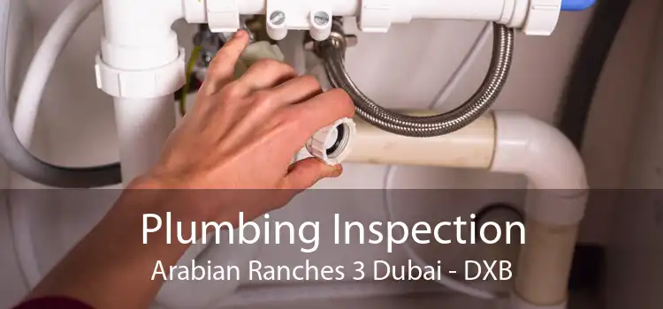 Plumbing Inspection Arabian Ranches 3 Dubai - DXB