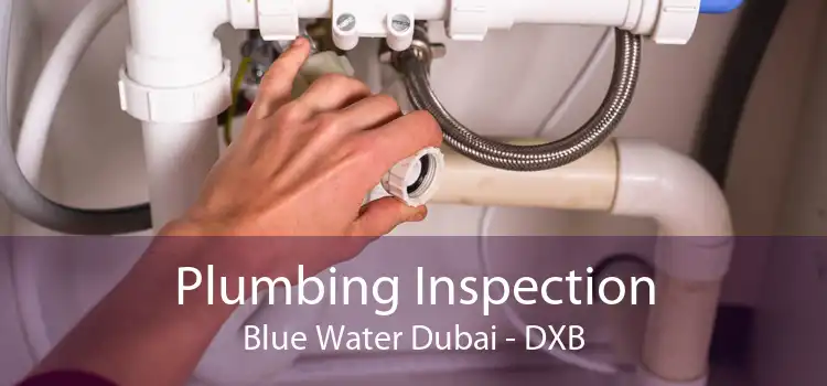 Plumbing Inspection Blue Water Dubai - DXB