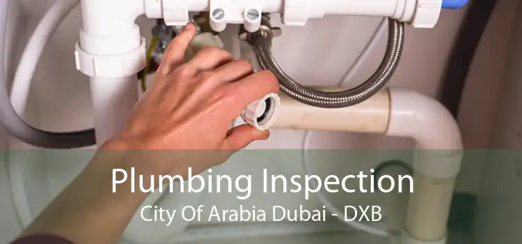 Plumbing Inspection City Of Arabia Dubai - DXB