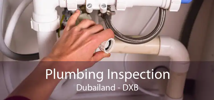 Plumbing Inspection Dubailand - DXB