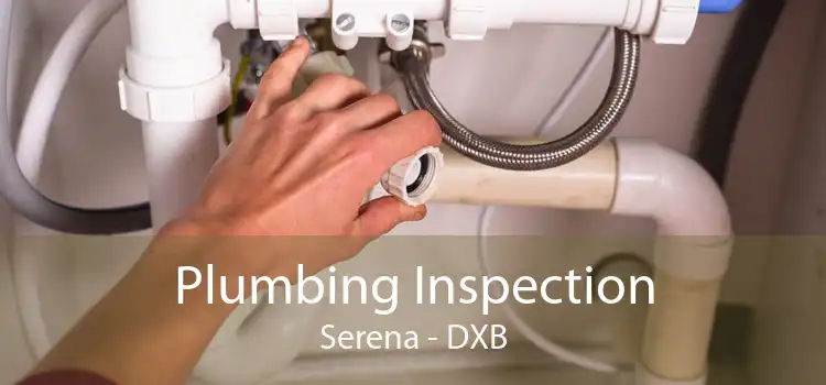 Plumbing Inspection Serena - DXB