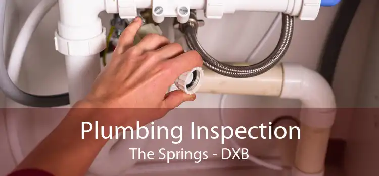 Plumbing Inspection The Springs - DXB