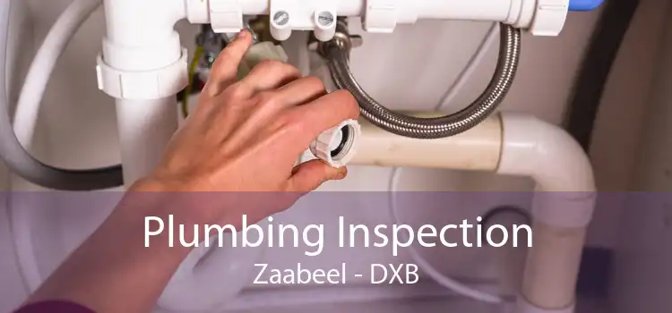 Plumbing Inspection Zaabeel - DXB