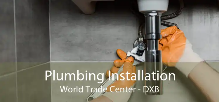 Plumbing Installation World Trade Center - DXB